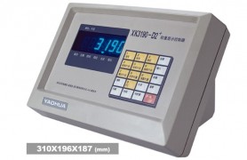 耀華XK3190—D2+儀表